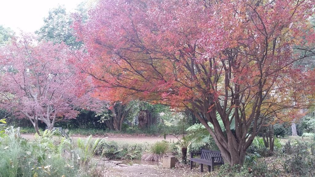 Babbling Brook Bed & Breakfast Pietermaritzburg Esterno foto