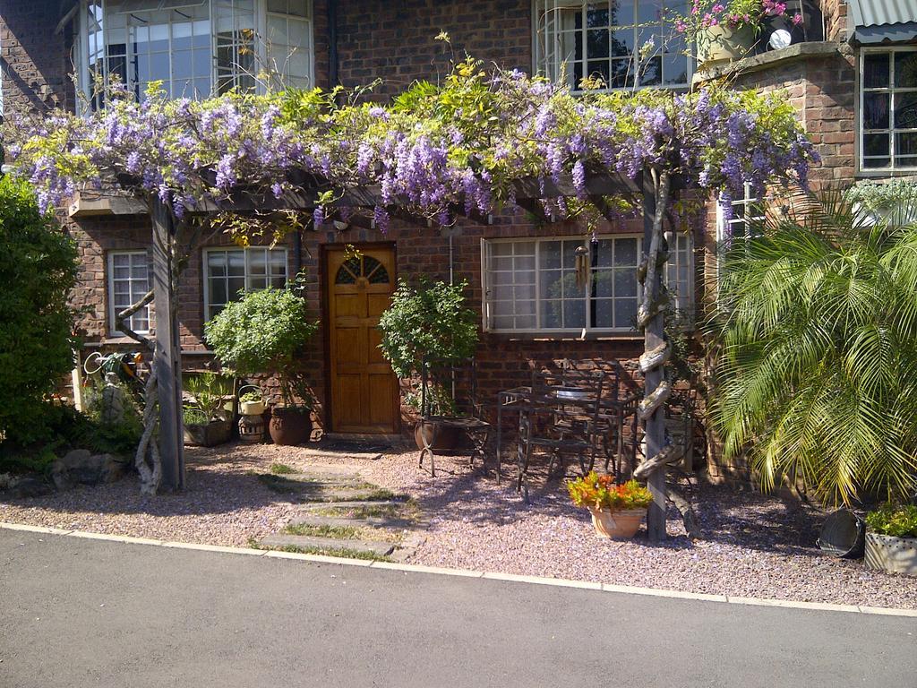 Babbling Brook Bed & Breakfast Pietermaritzburg Esterno foto