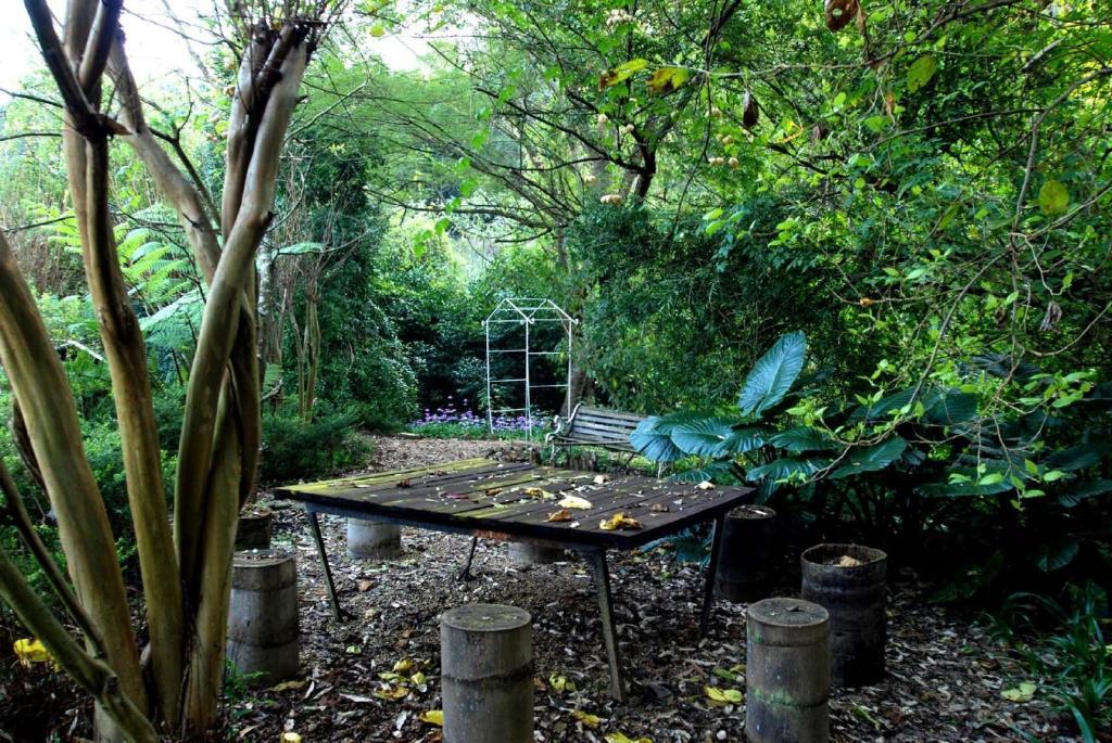 Babbling Brook Bed & Breakfast Pietermaritzburg Esterno foto