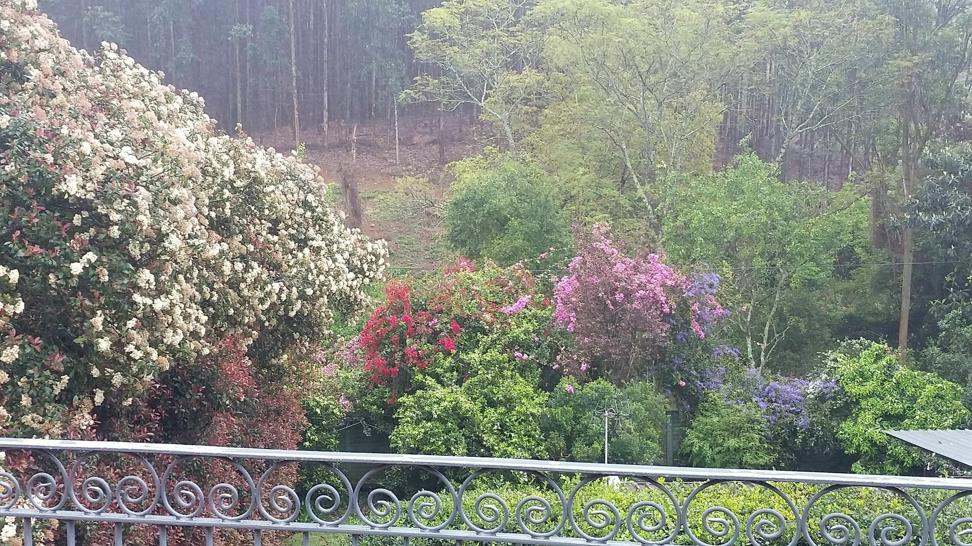 Babbling Brook Bed & Breakfast Pietermaritzburg Esterno foto