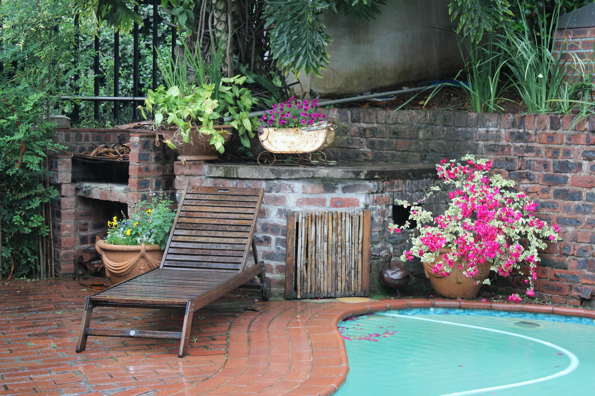 Babbling Brook Bed & Breakfast Pietermaritzburg Esterno foto