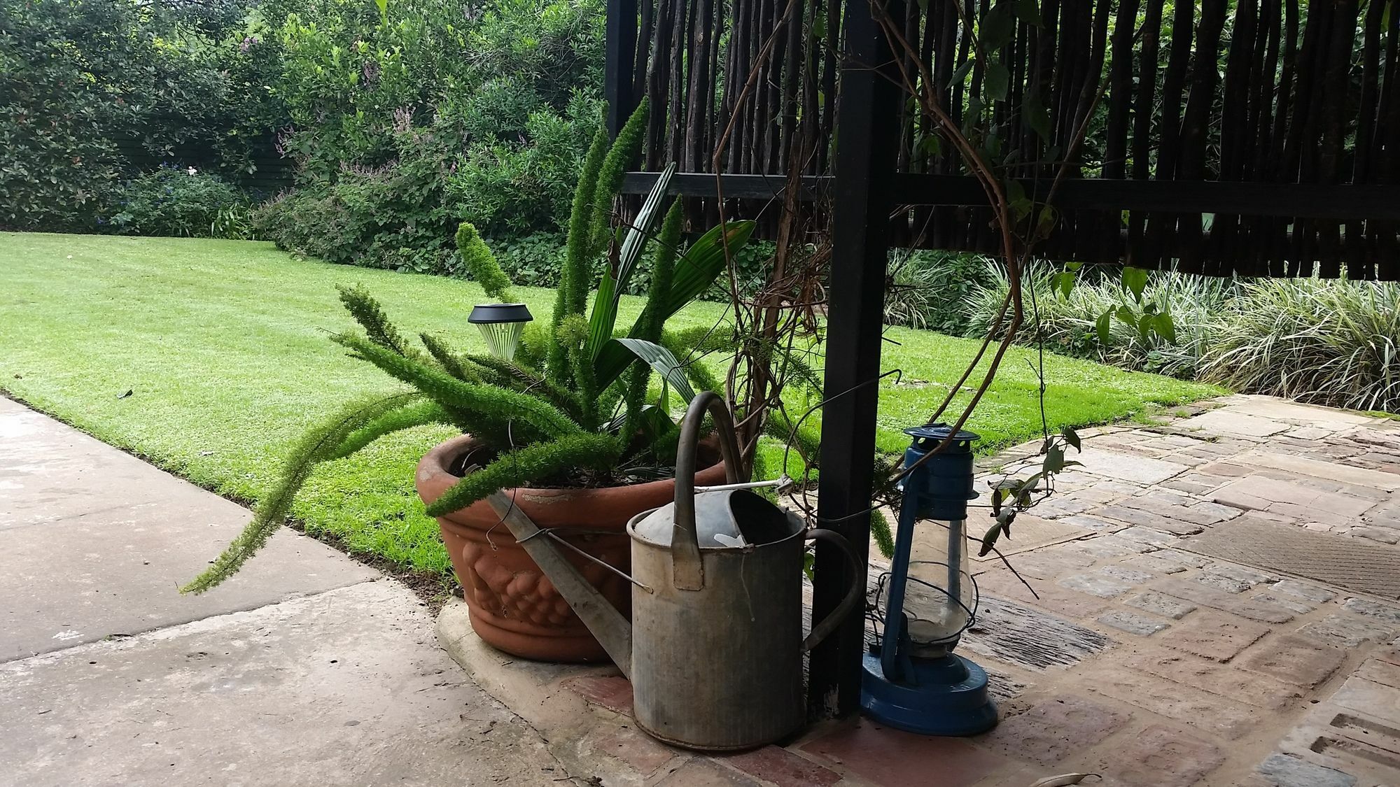 Babbling Brook Bed & Breakfast Pietermaritzburg Esterno foto
